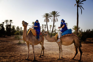 Balade Chameau Marrakech