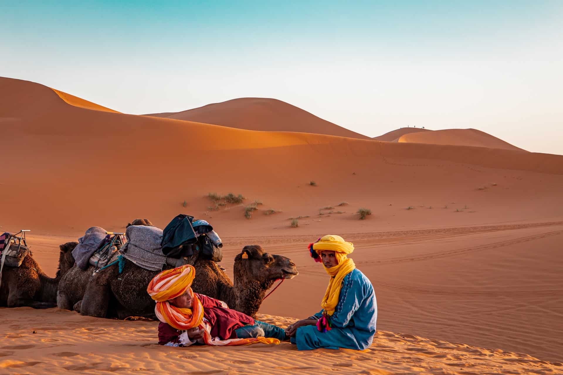 Expérience Sahara Maroc